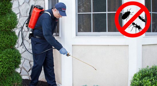 Şaphane Bit İlaçlama böcek ilaçlama ve haşere kontrolü — ilaclama-tr.com